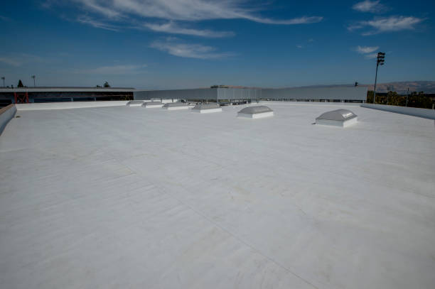 Best Roof Insulation Installation  in Timberne, LA