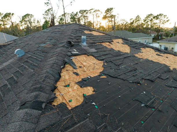 Best Solar Panel Roofing Installation  in Timberne, LA